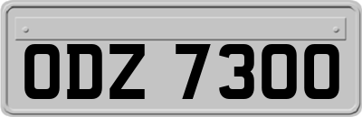 ODZ7300