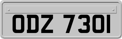 ODZ7301