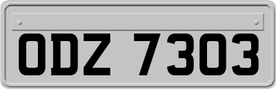 ODZ7303
