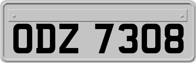 ODZ7308