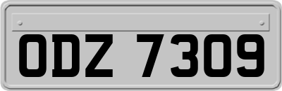 ODZ7309