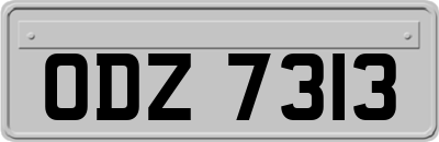 ODZ7313