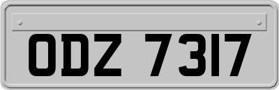 ODZ7317
