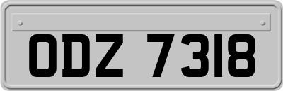 ODZ7318