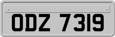 ODZ7319