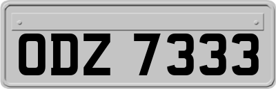 ODZ7333