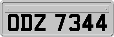 ODZ7344