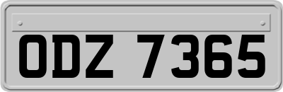 ODZ7365