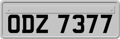 ODZ7377