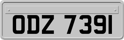 ODZ7391