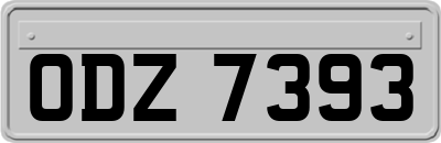 ODZ7393