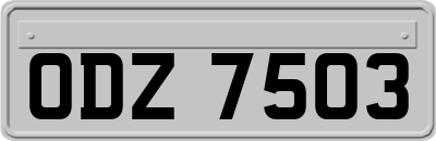 ODZ7503
