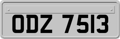 ODZ7513