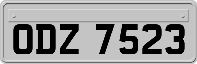 ODZ7523