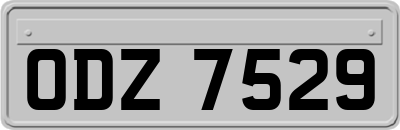 ODZ7529