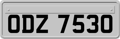 ODZ7530