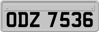 ODZ7536