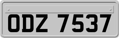 ODZ7537