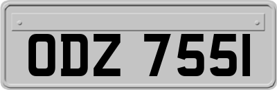 ODZ7551
