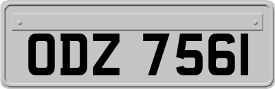ODZ7561