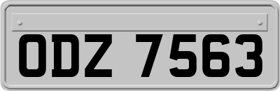 ODZ7563