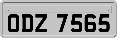 ODZ7565