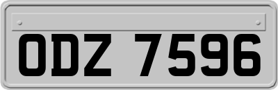 ODZ7596