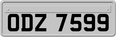 ODZ7599