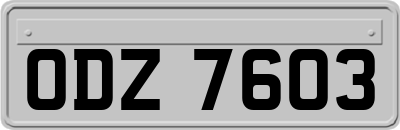ODZ7603