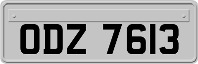 ODZ7613