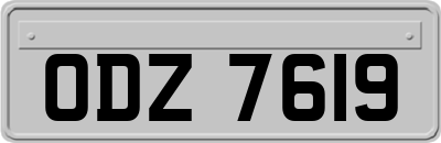 ODZ7619