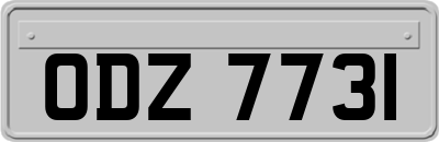 ODZ7731