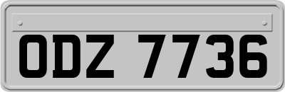 ODZ7736