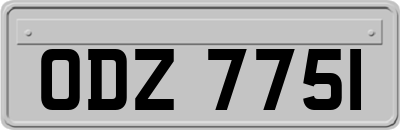 ODZ7751