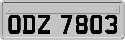 ODZ7803