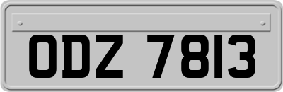 ODZ7813