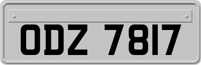 ODZ7817