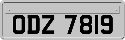 ODZ7819