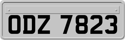 ODZ7823
