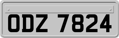ODZ7824
