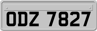ODZ7827