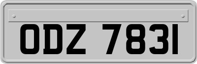 ODZ7831