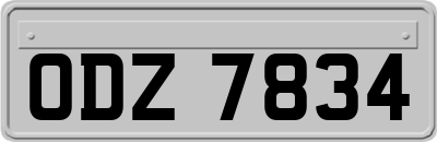 ODZ7834