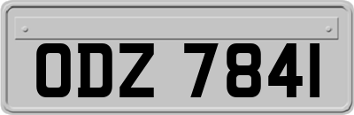 ODZ7841