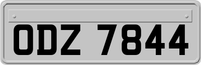 ODZ7844