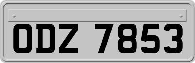 ODZ7853