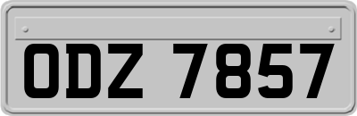 ODZ7857