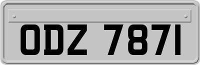 ODZ7871