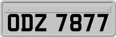 ODZ7877