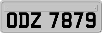 ODZ7879